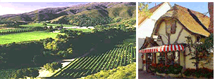Meeting Planning and Site Selection