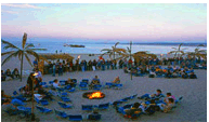Beach Party